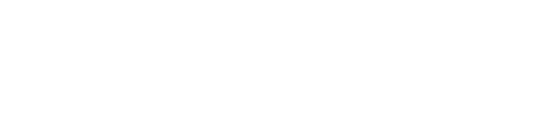 light logo