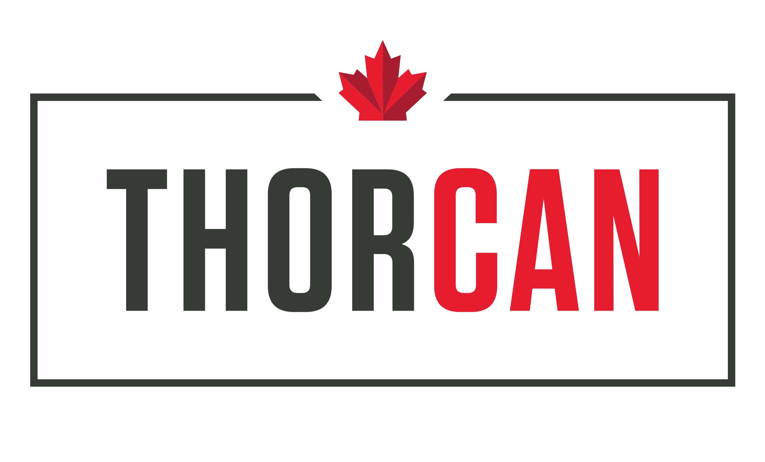 THORCAN logo